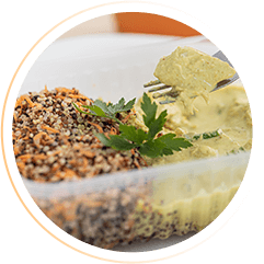 Receitas de Marmitas Fit — imagem do conteúdo 2